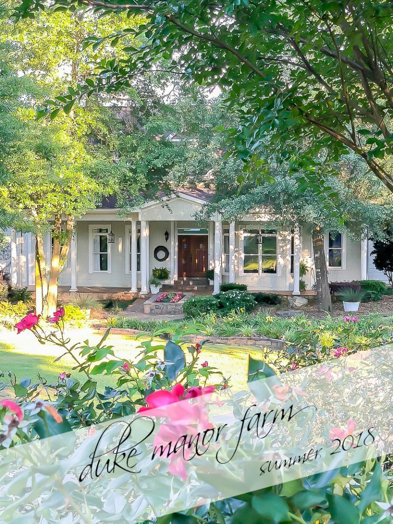 Summer Living at Duke Manor Farm