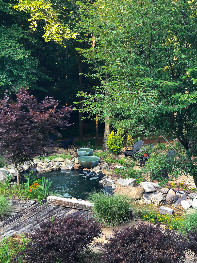 Happenings at Duke Manor Farm Weekend Edition