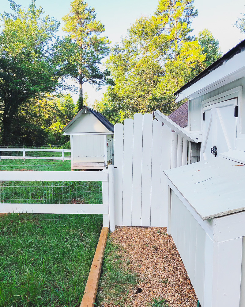 Happenings at Duke Manor Farm Weekend Edition