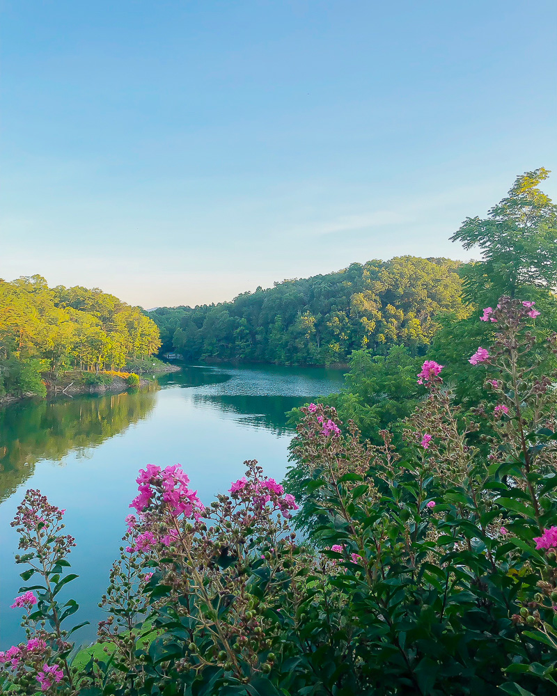 lake view