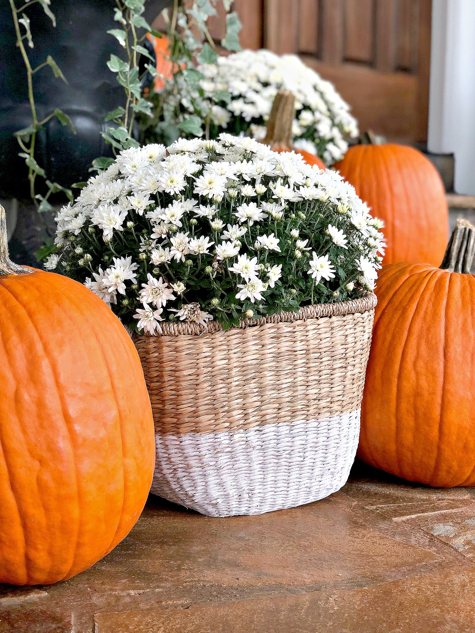 Four things every Porch should have this Fall Season