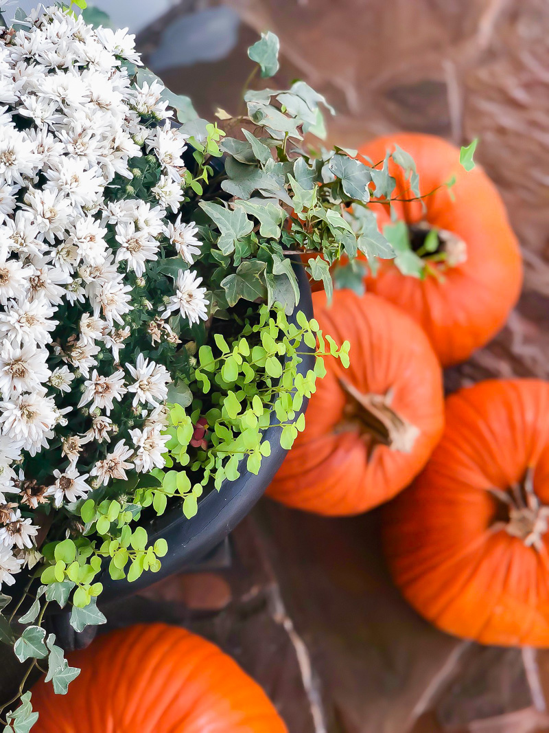 Fall front porch with orange and gray accents