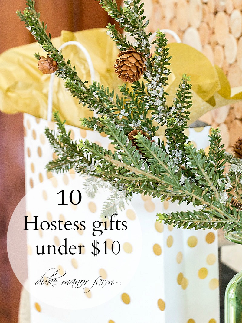 10 Hostess Gifts Under $10 for the holiday season