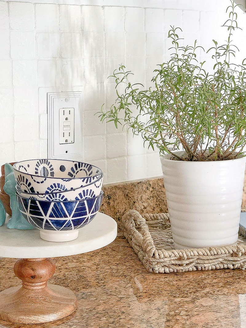 painted tile backsplash and rosemary plant