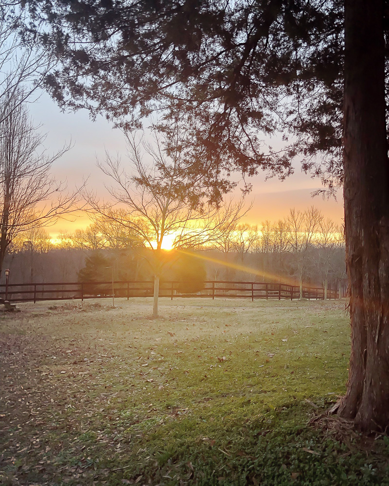 Farm Friday At Duke Manor Farm