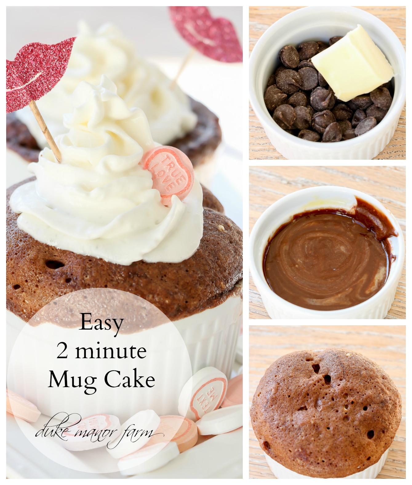 Easy 2 minute Mug Cakes
