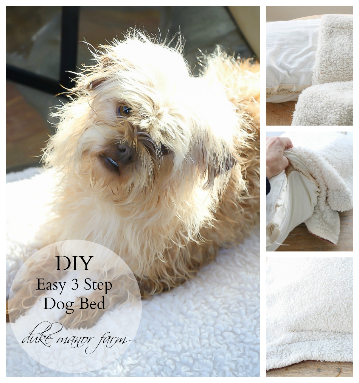 Easy 3 Step DIY Dog Bed