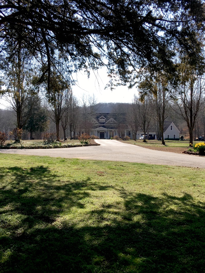 The first blooms of Spring at Duke Manor Farm