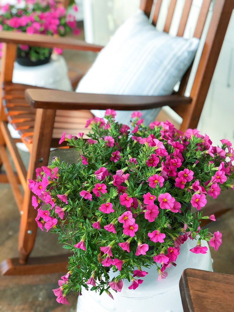 summer plant on a front porch with rocking chair in background