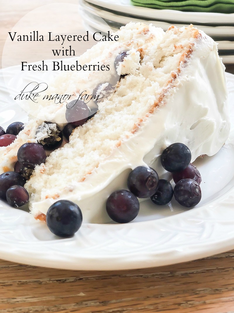 Vanilla layered cake with fresh blueberries