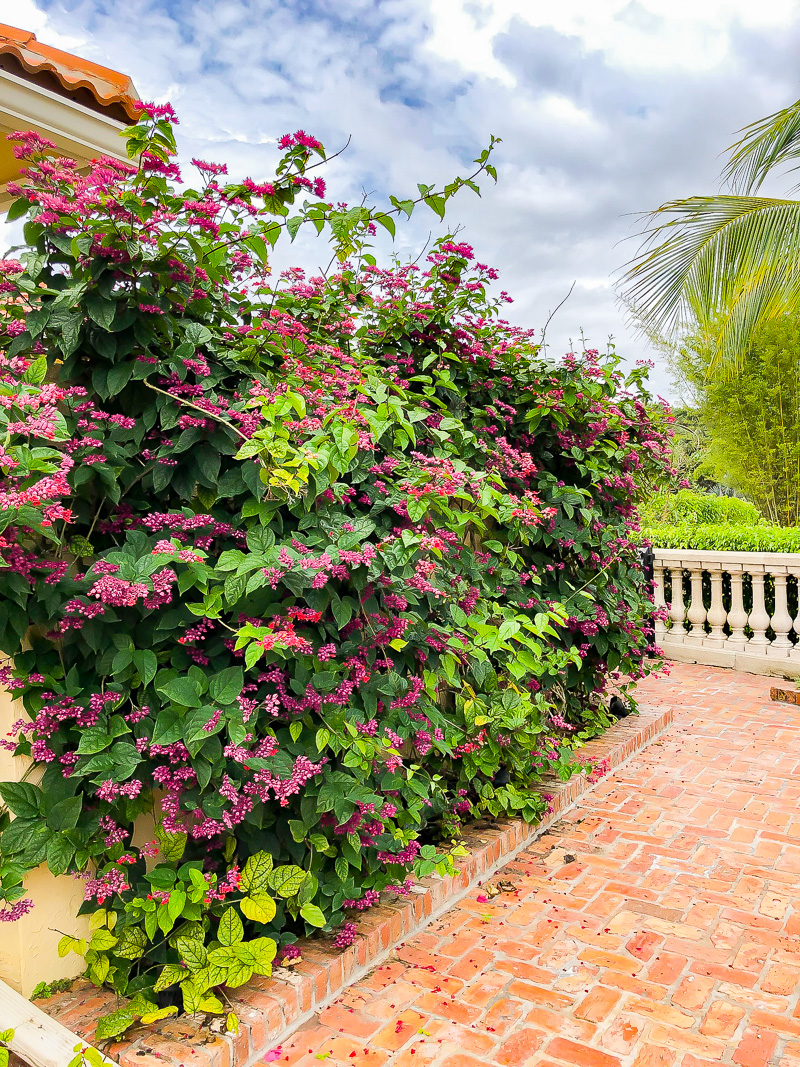 Florida Poolside Retreat Tour