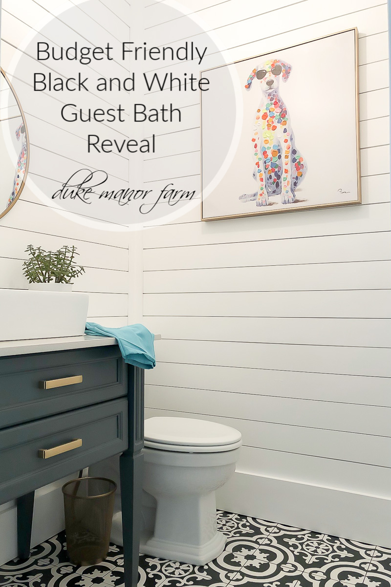 black and white bath reveal