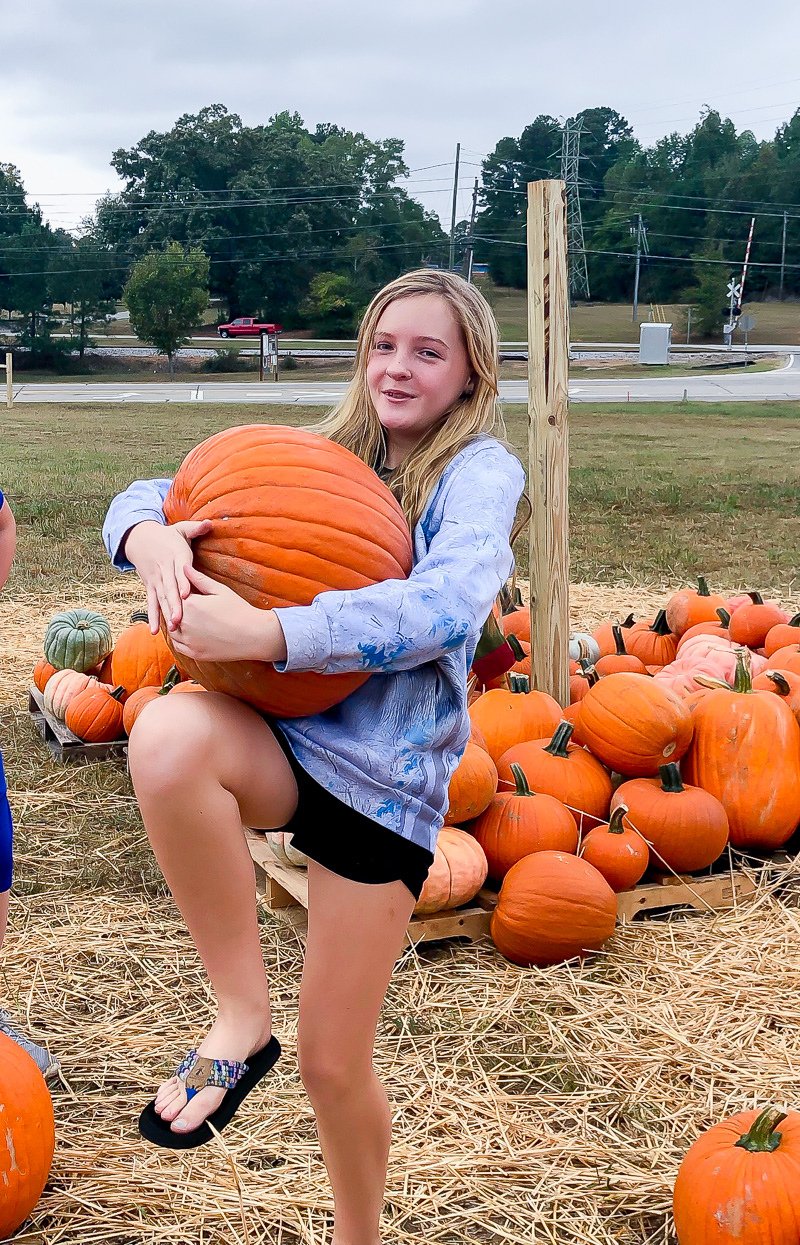 Pumpkin Picking 101 