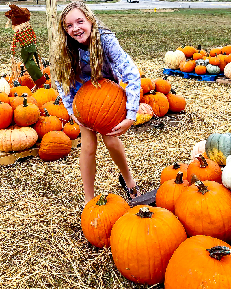 Pumpkin Picking 101 