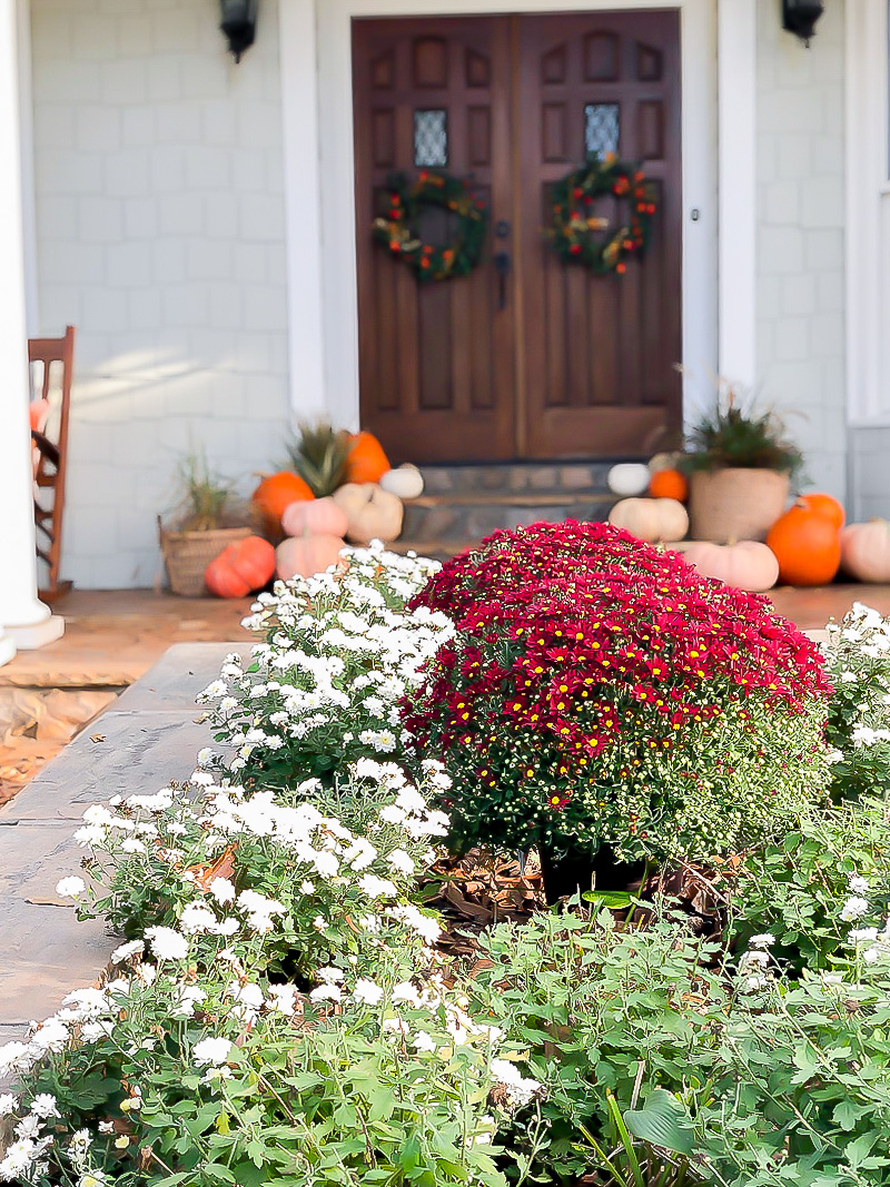 All The Fall Feels Front Porch