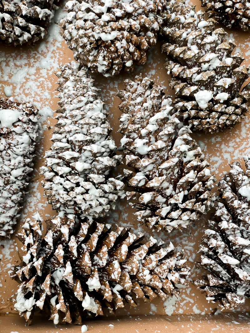 Try this tip for perfectly flocked pine cones