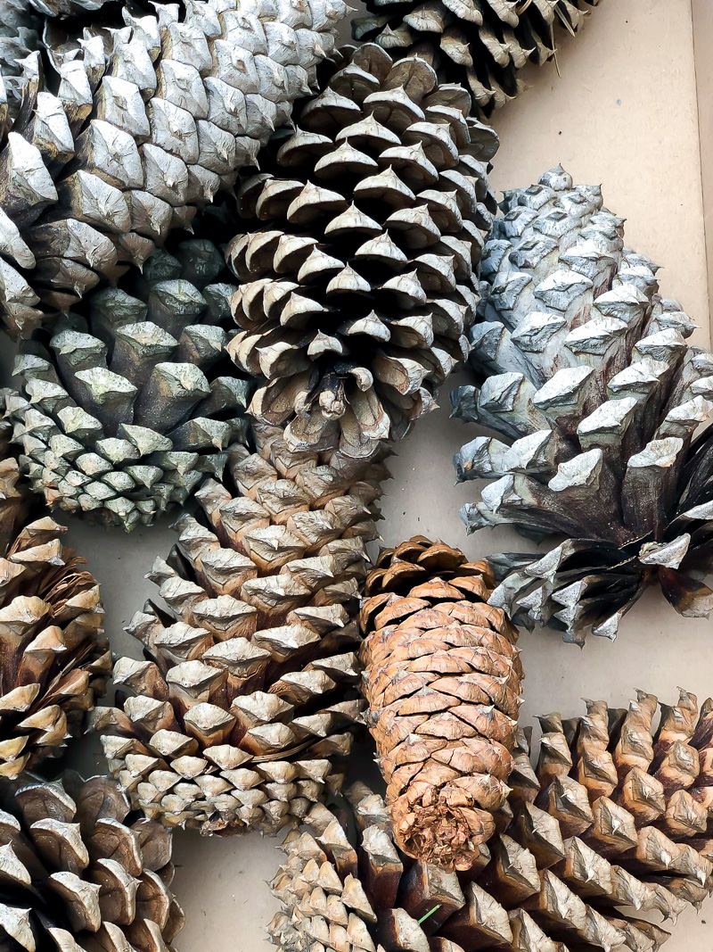 Try this tip for perfectly flocked pine cones