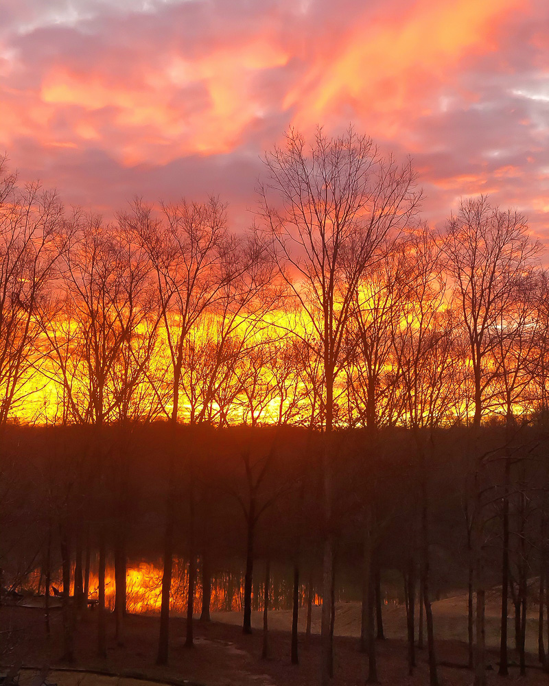 beautiful sunrise from Duke Manor Farm Notables Vol 3 
