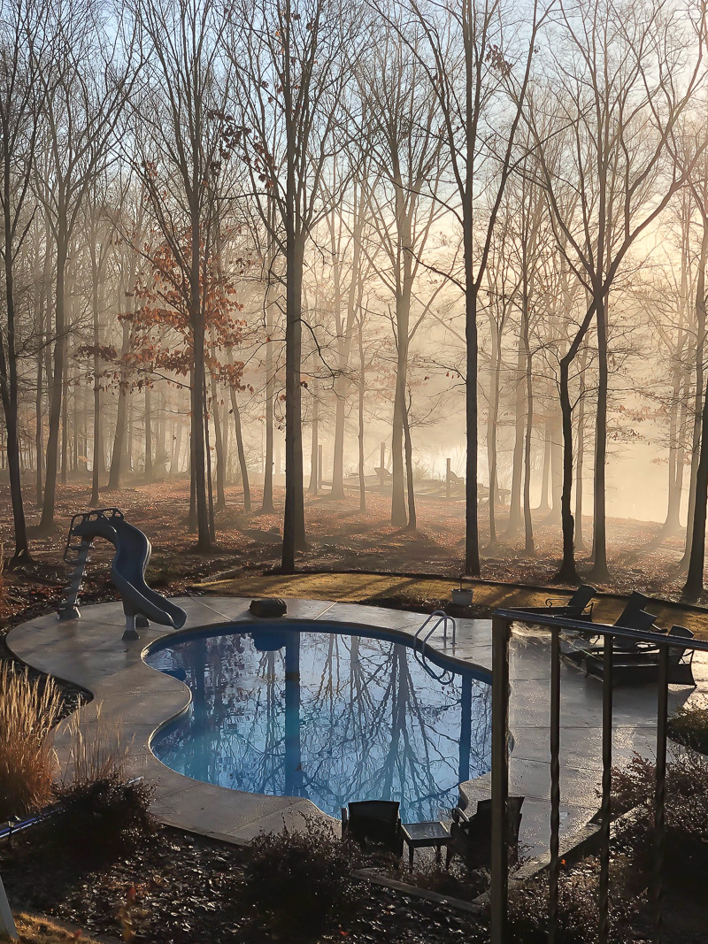 beautiful pool image from Duke Manor Farm Notables Vol 3