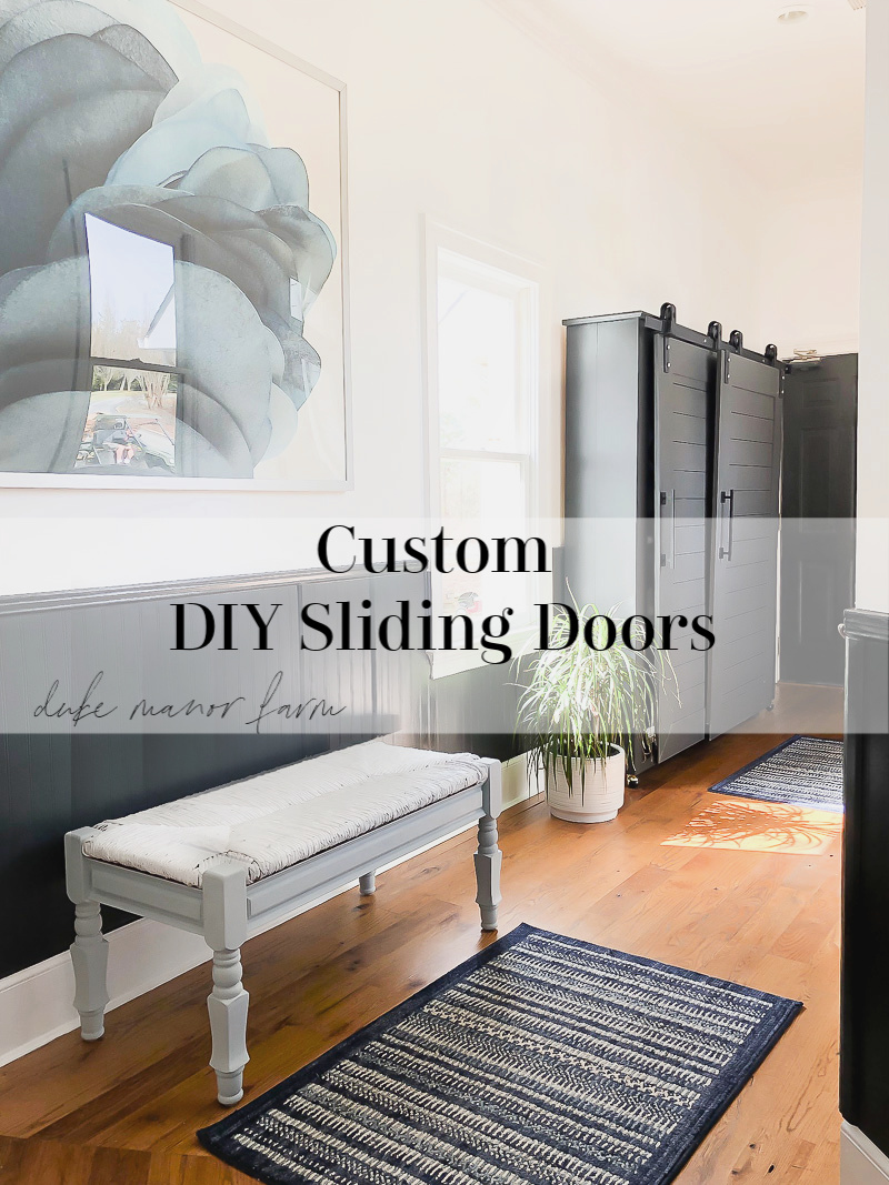 Custom DIY Shoe Cabinet with Sliding Door Duke Manor Farm by
