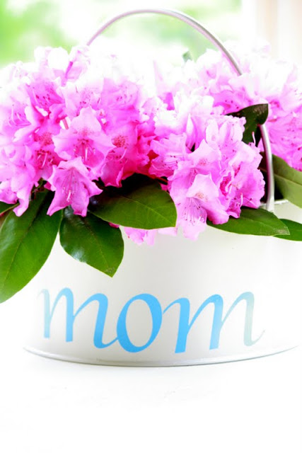 Celebrate Mom with an At Home Celebration