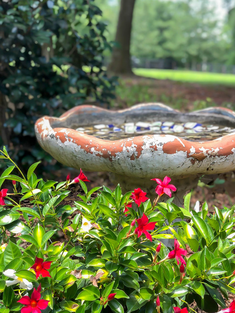 Make an old Bird Bath Pretty Again