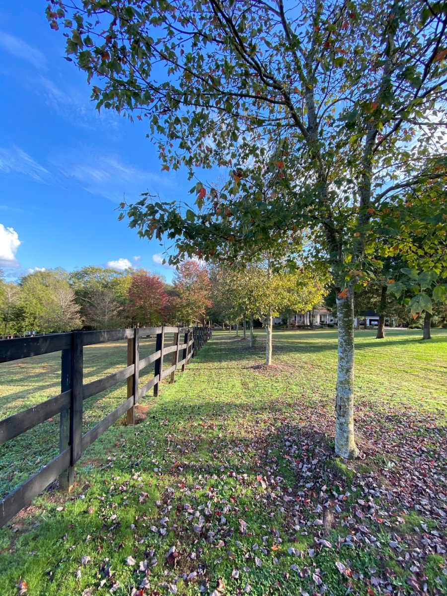 Fall around Duke Manor Farm