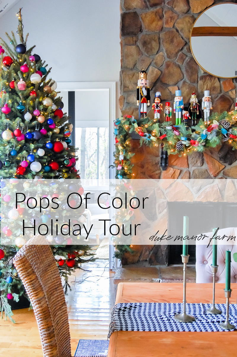 Pops of color Holiday Tour at Duke Manor Farm