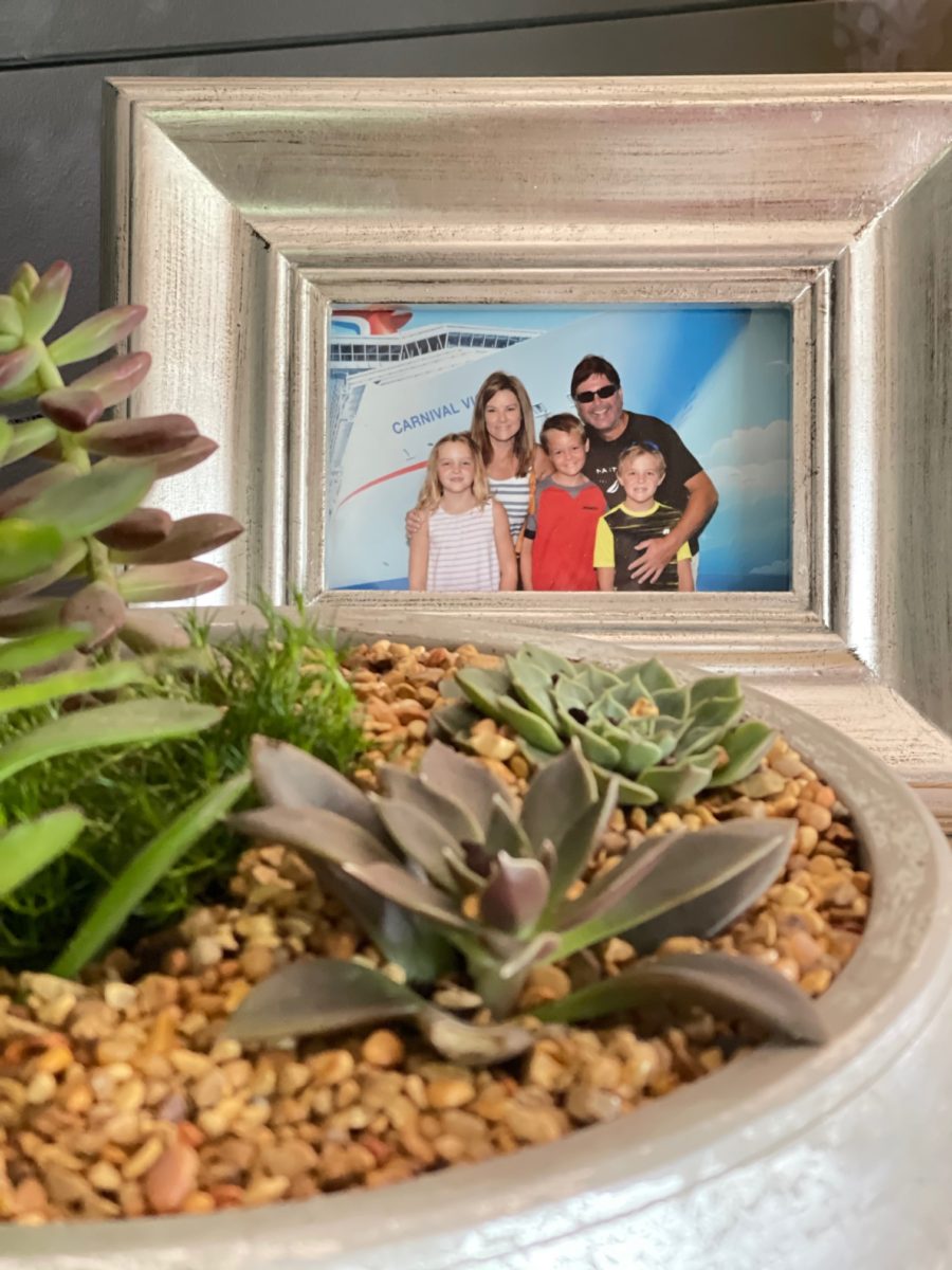 How to create a succulent dish garden