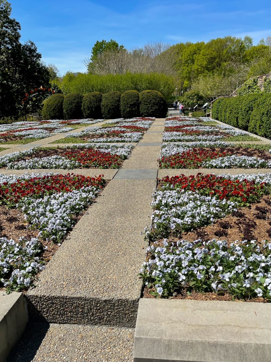 What to expect at the North Carolina Arboretum