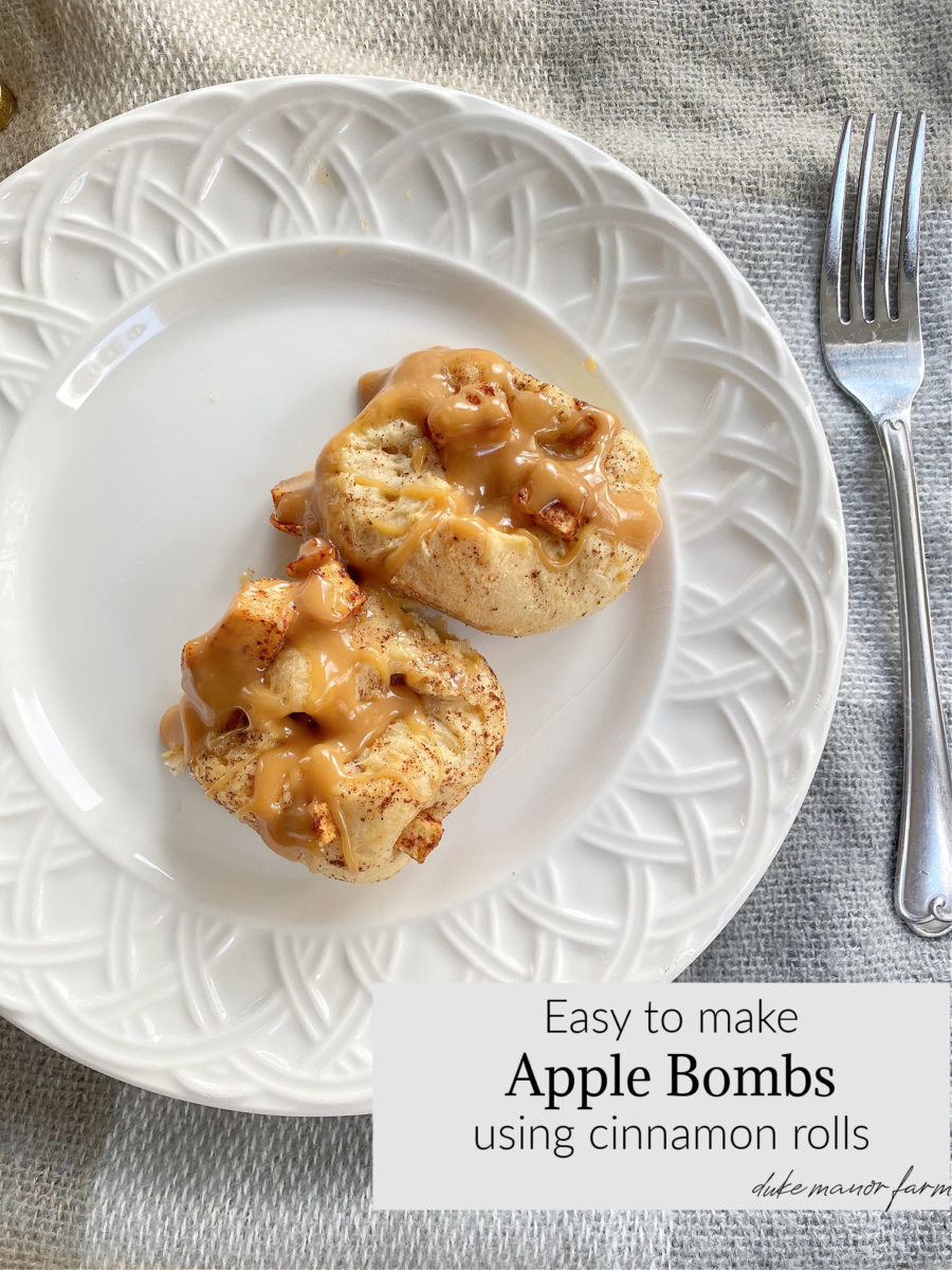 Easy to make Apple Bomb Treats