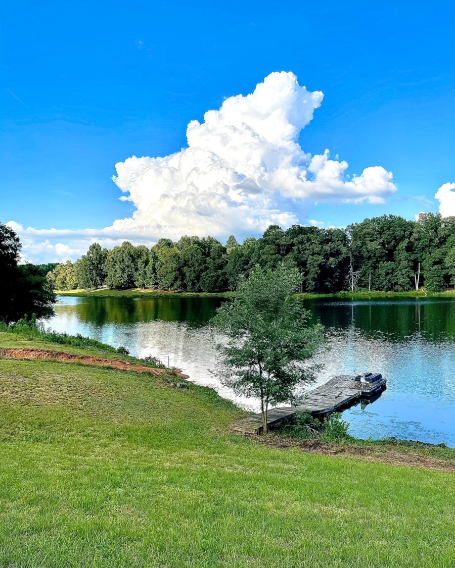 Duke Manor Farm lake