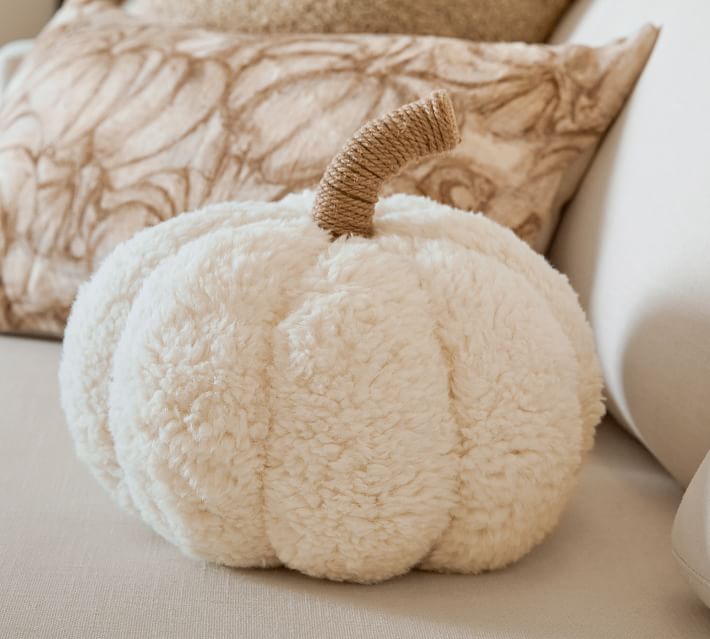  Fall Decor pillow