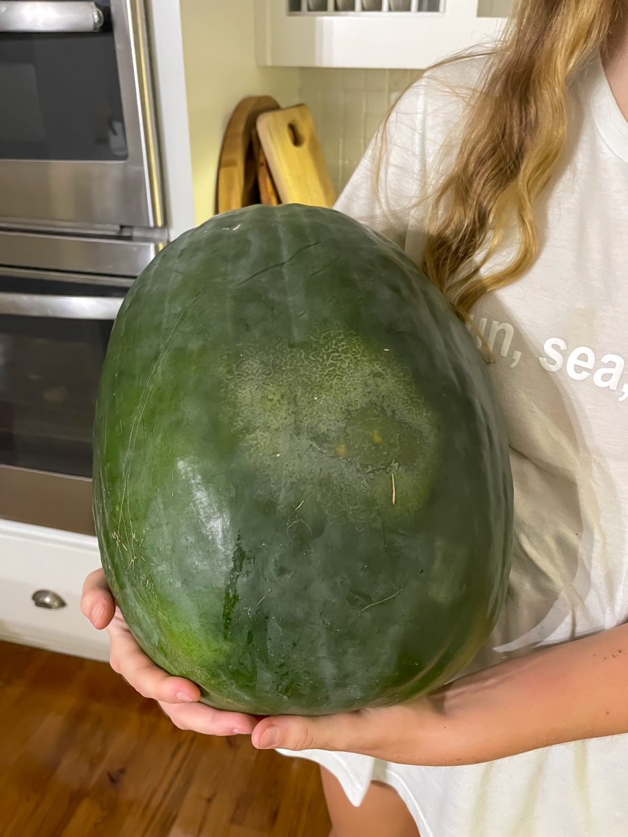  large watermelon