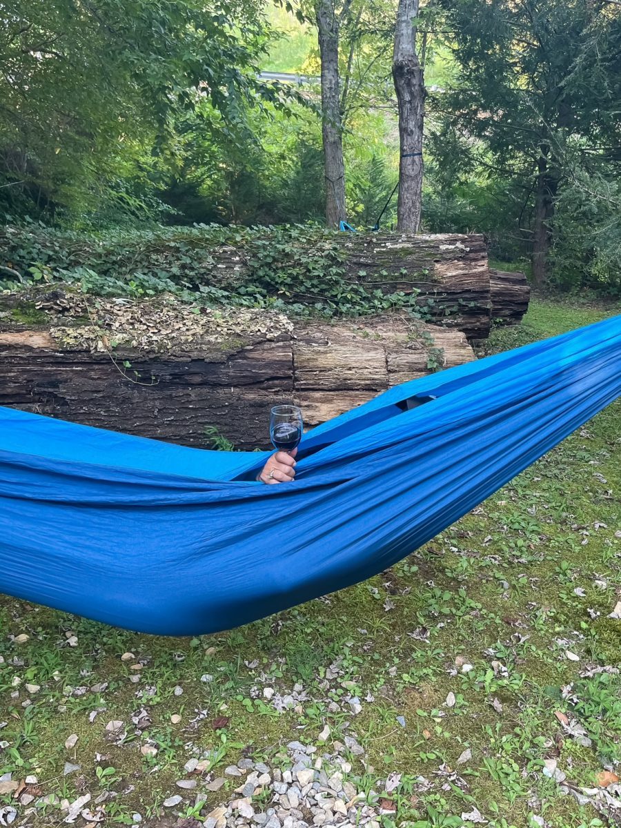 camp leconte Gatlinburg outside treehouse