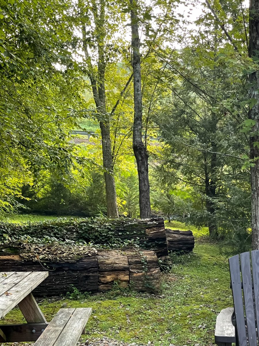 camp leconte Gatlinburg outside treehouse