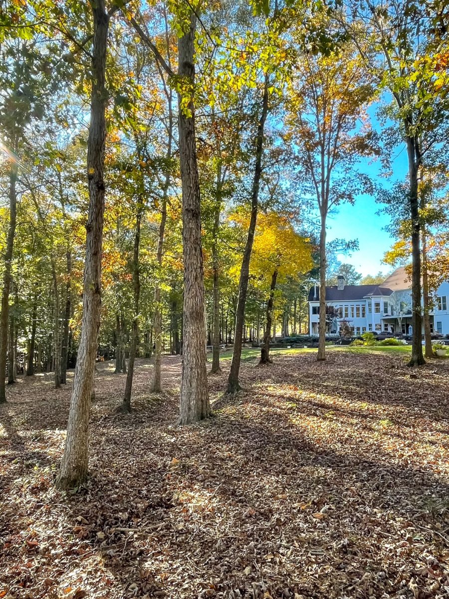 A Fall day around Duke Manor Farm