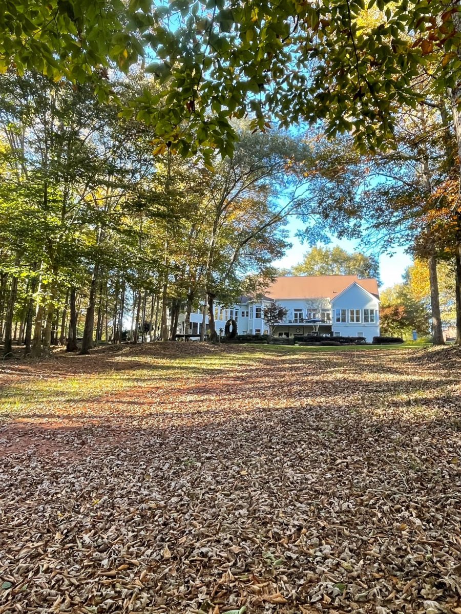 A Fall day around Duke Manor Farm