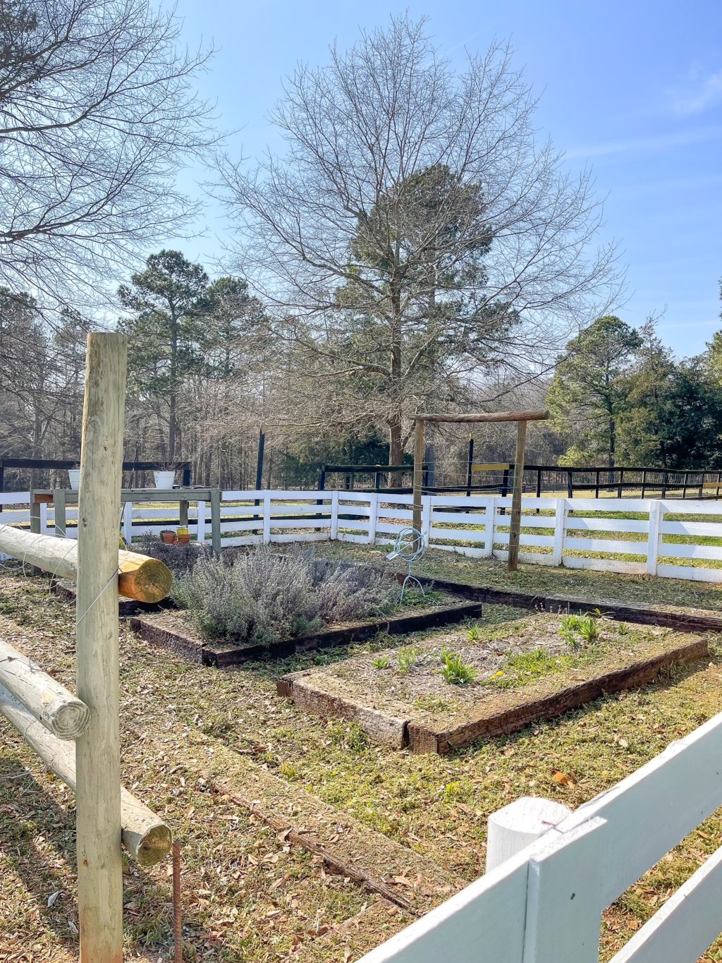 garden with white fence in winter