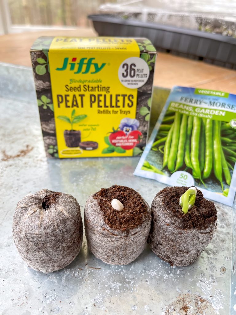 Seed starting using peat pellets