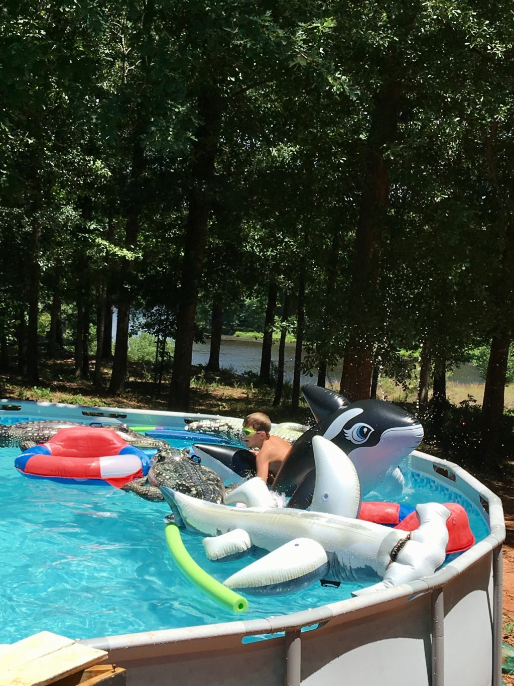 above ground pool with boy swimming and a lot of pool floats