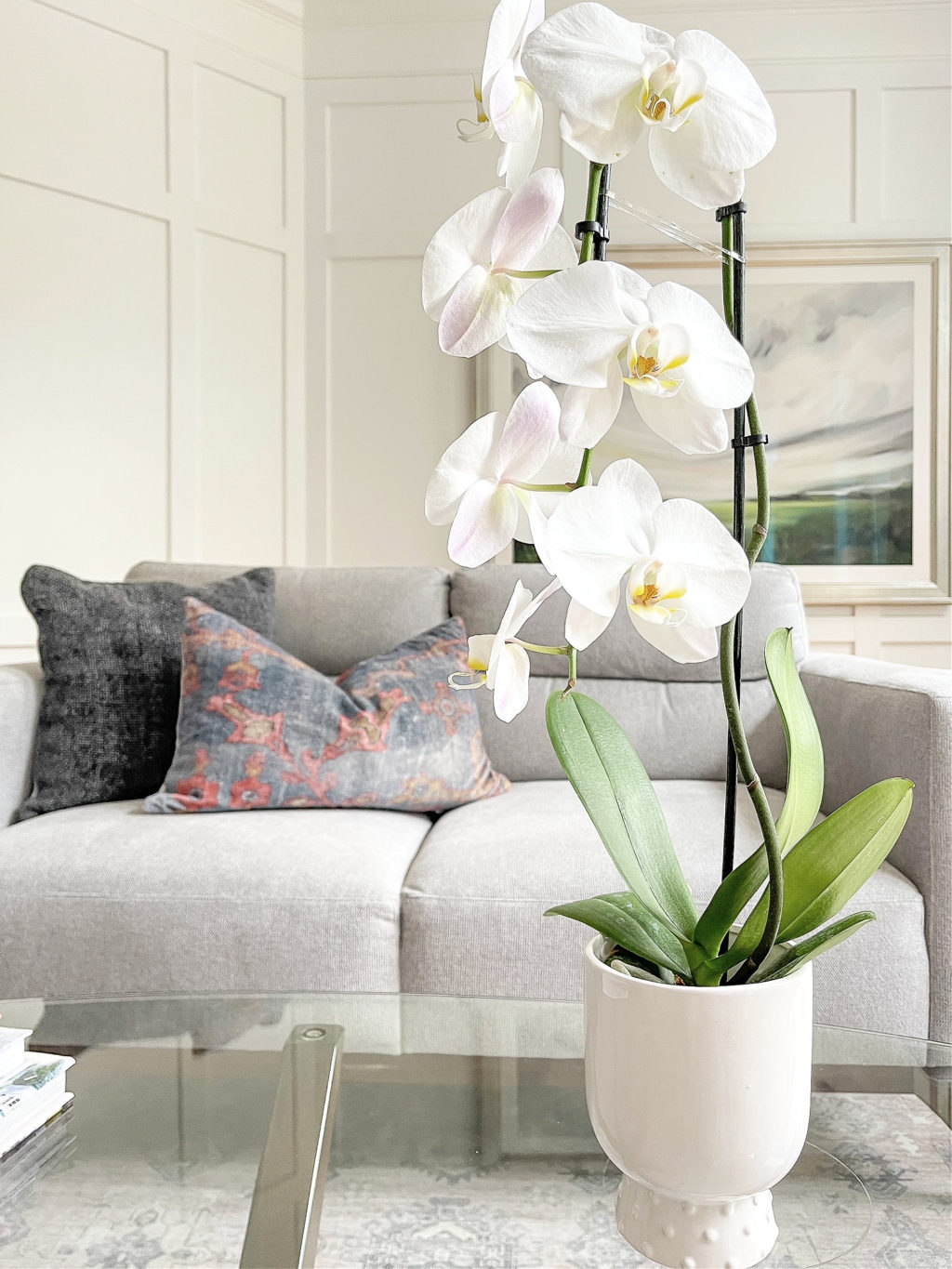 white potted indoor orchid on a glass coffee table in front of gray sofa