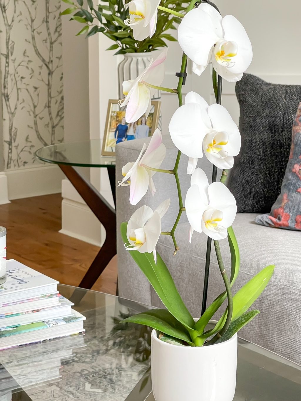 close up of indoor orchid on a table in a white pot