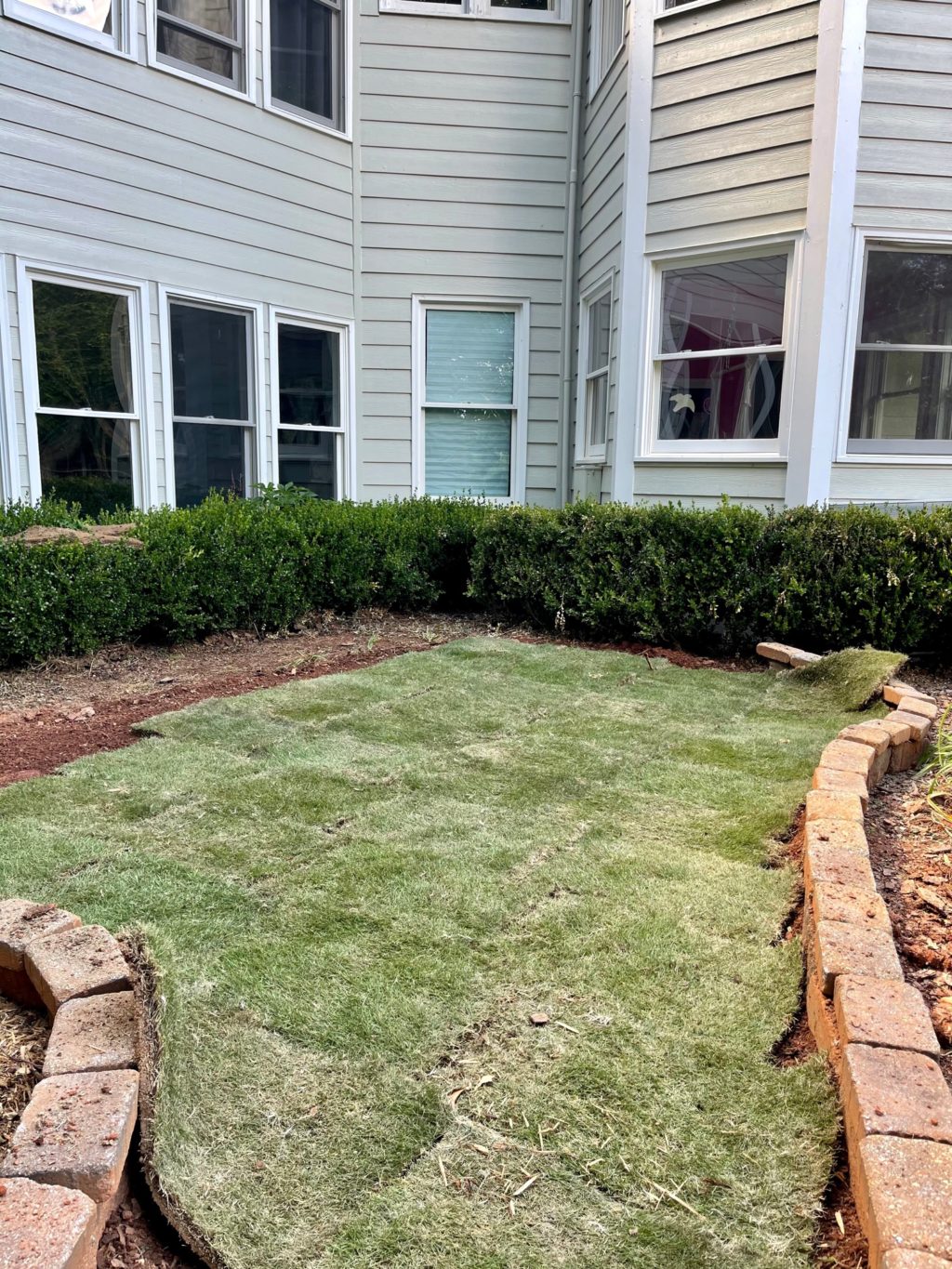 sod installation in back yard