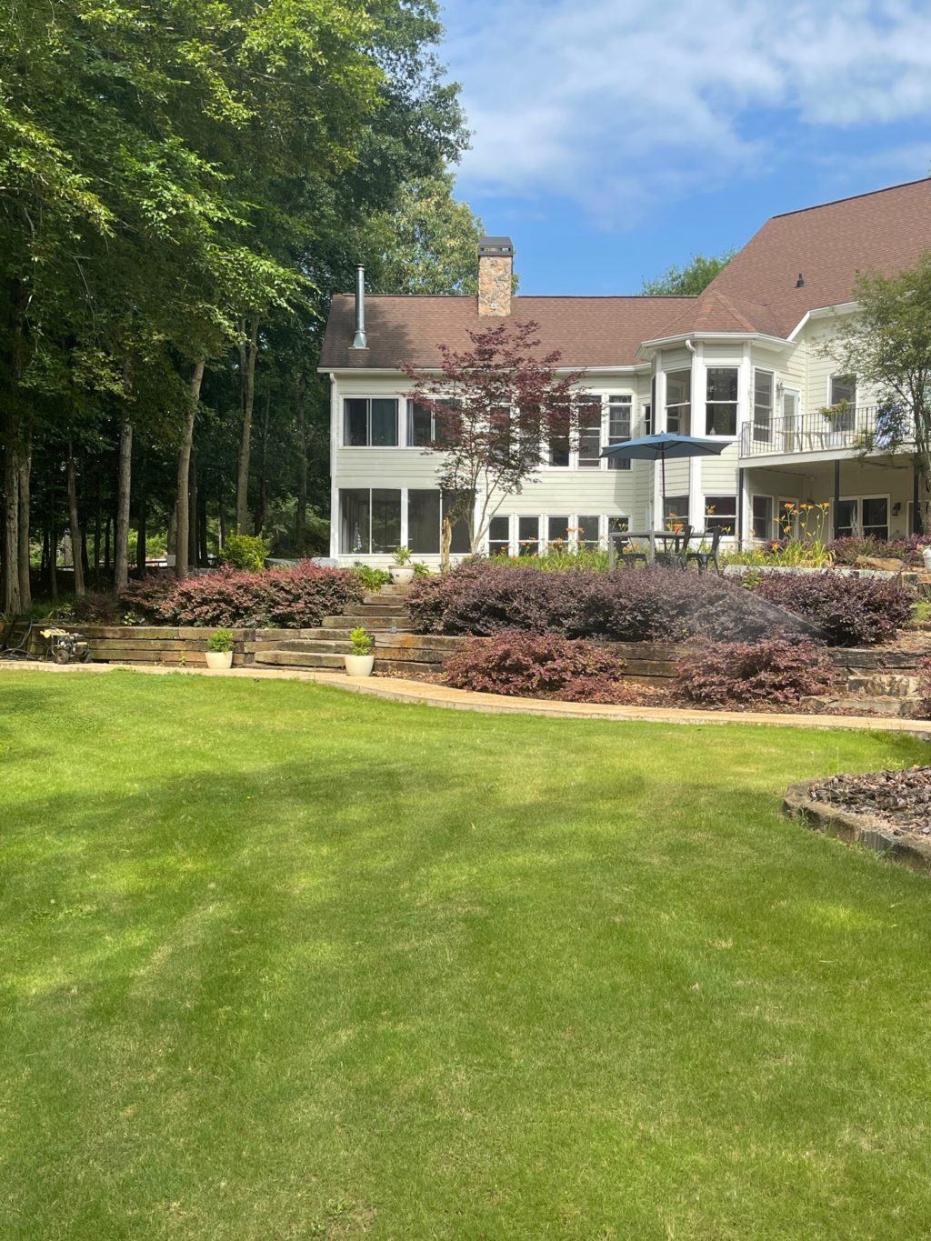 back of house with green zoysia sod