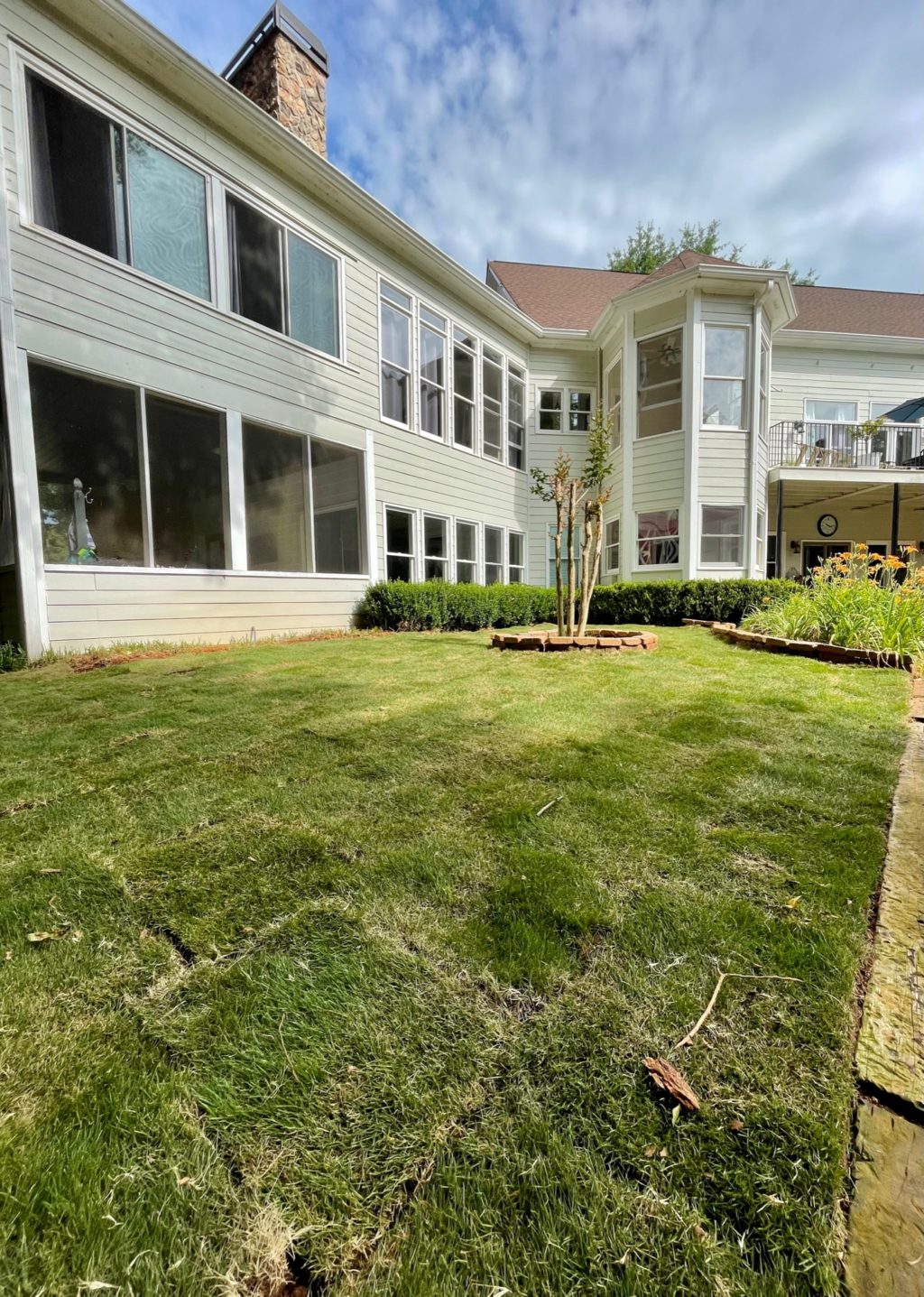 back of house with new sod laid