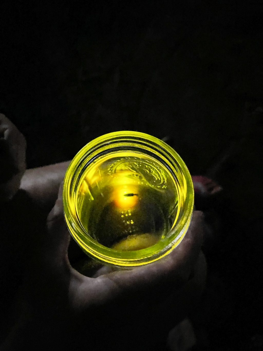 fireflies in a mason jar at night