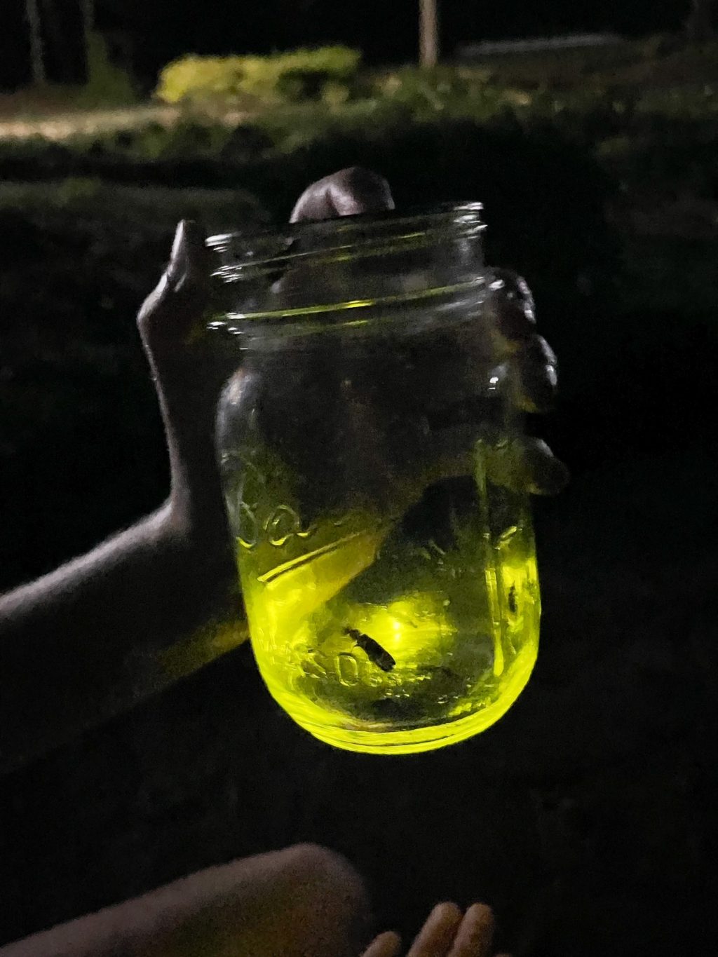 mason jar with lighting bug inside
