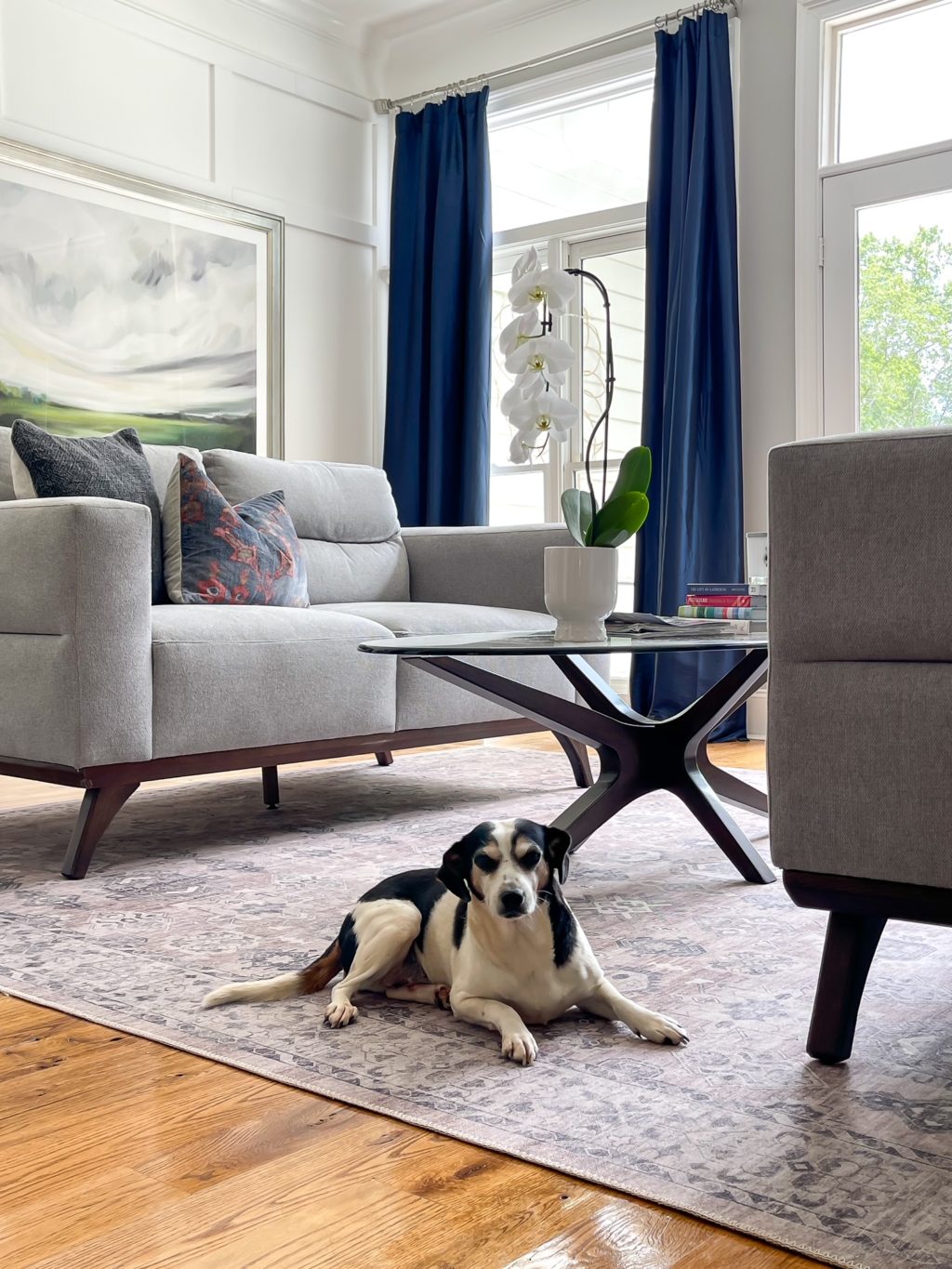 dog laying on an are rug in the living room