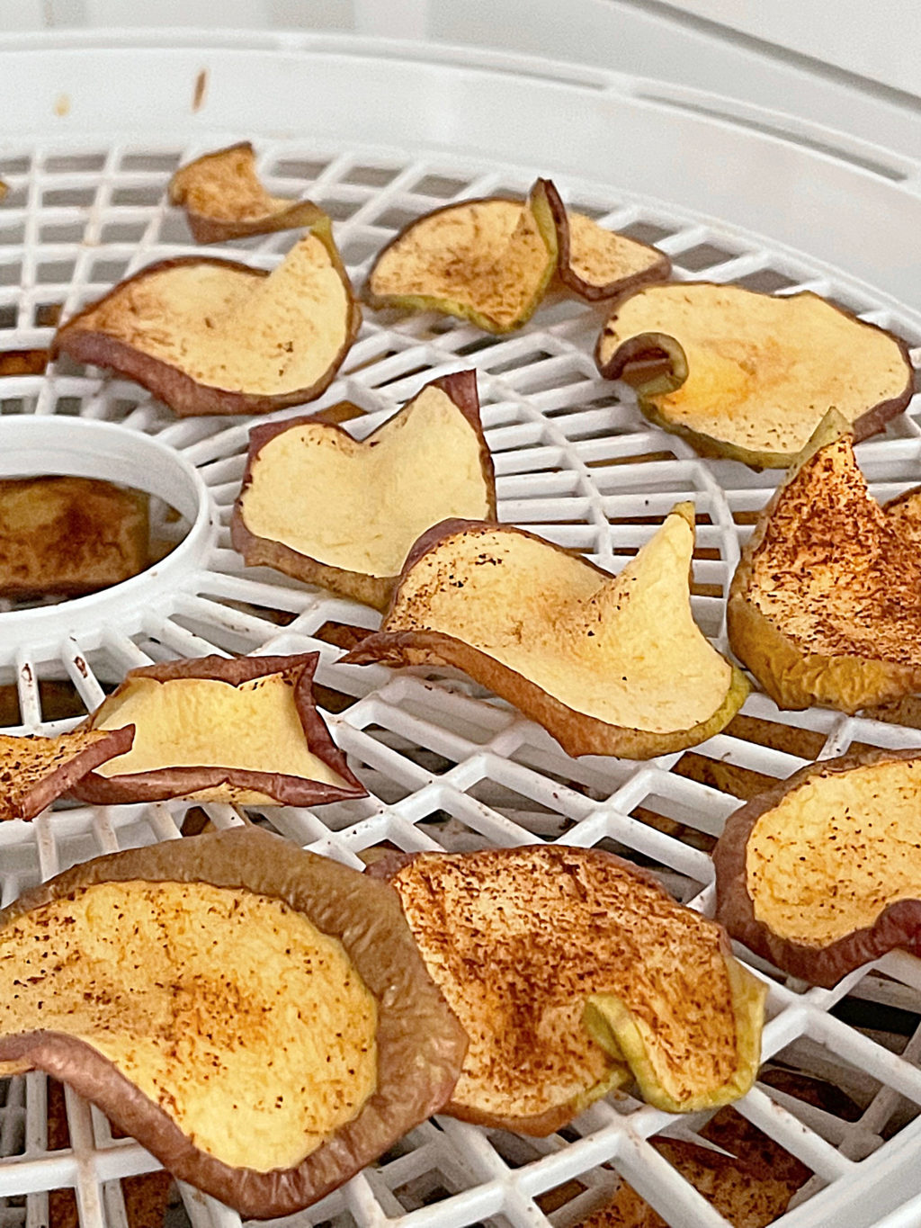 Dried apple slices on a dehydrator tray.